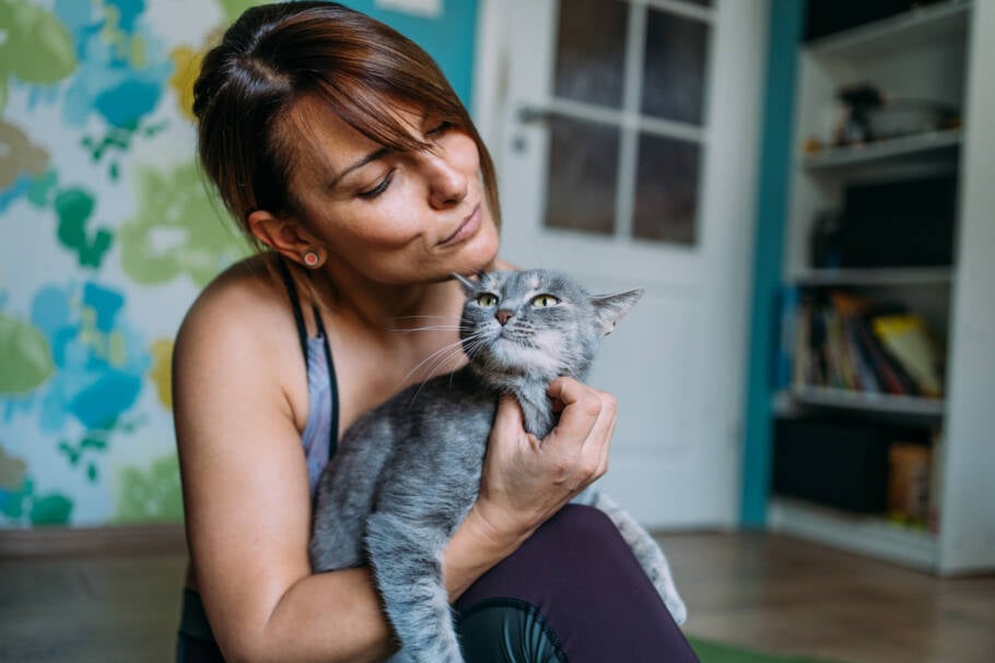 Conviver com cães e gatos aumenta a satisfação com a vida em nível comparável a relações humanas próximas