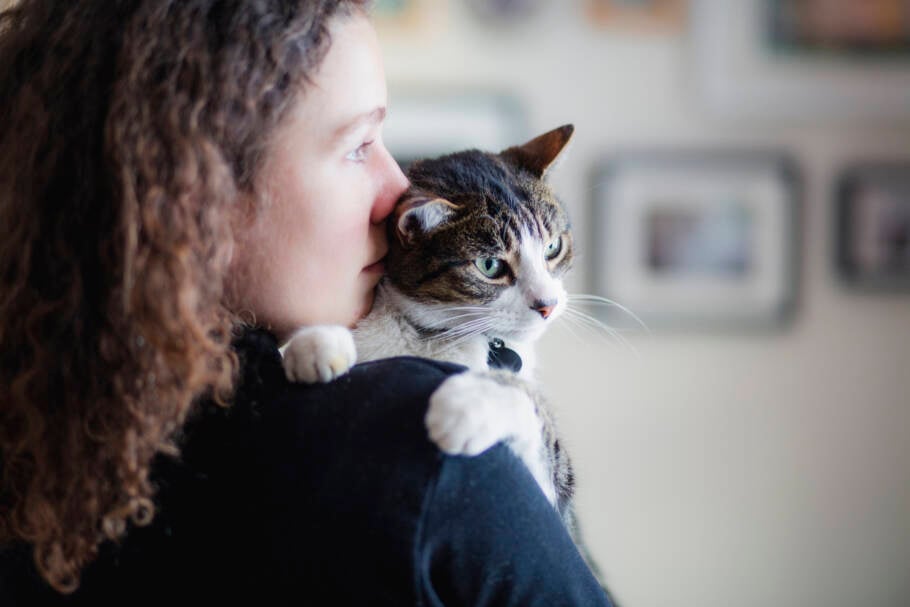 É importante saber que gatos não demonstram afeto da mesma forma que os humanos