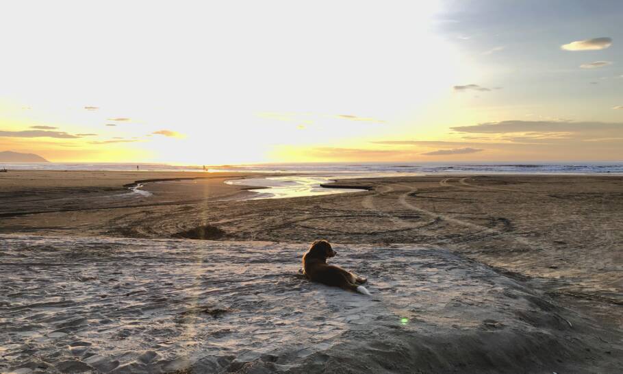 Bertioga é a porta de entrada para o litoral norte paulista
