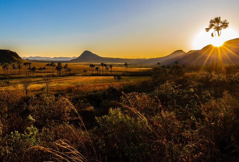 Jardim de Maytrea, cartão-postal da Chapada dos Veadeiros (GO)
