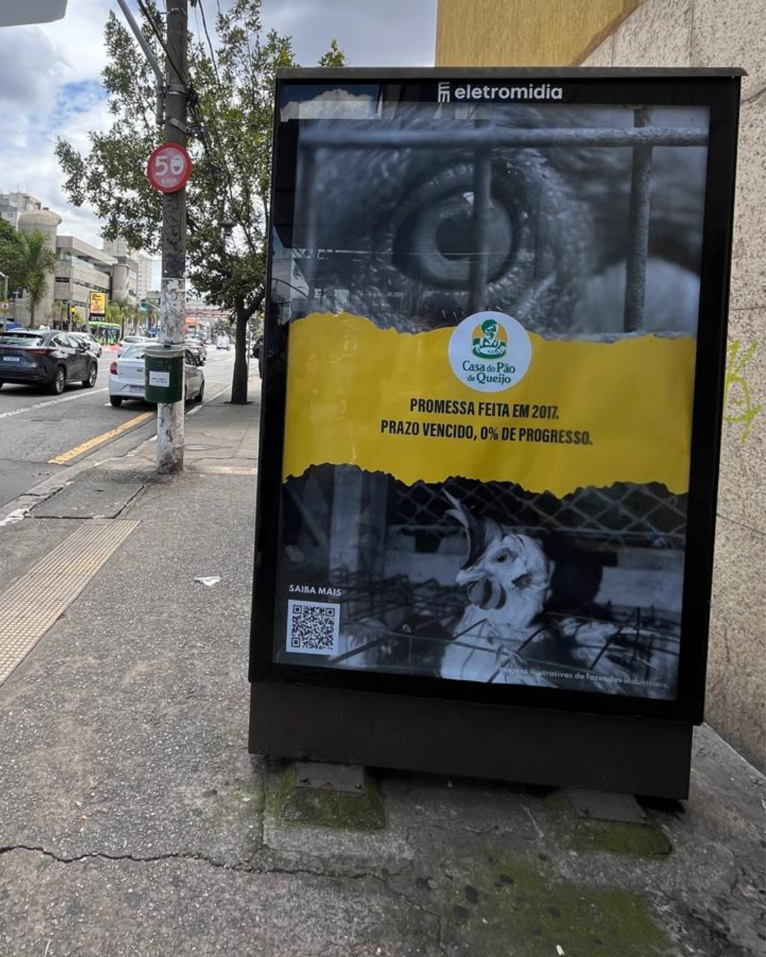 Assine a petição da ONG Sinergia Animal para pressionar a Casa do Pão de Queijo a usar apenas ovos de galinhas livres de gaiolas