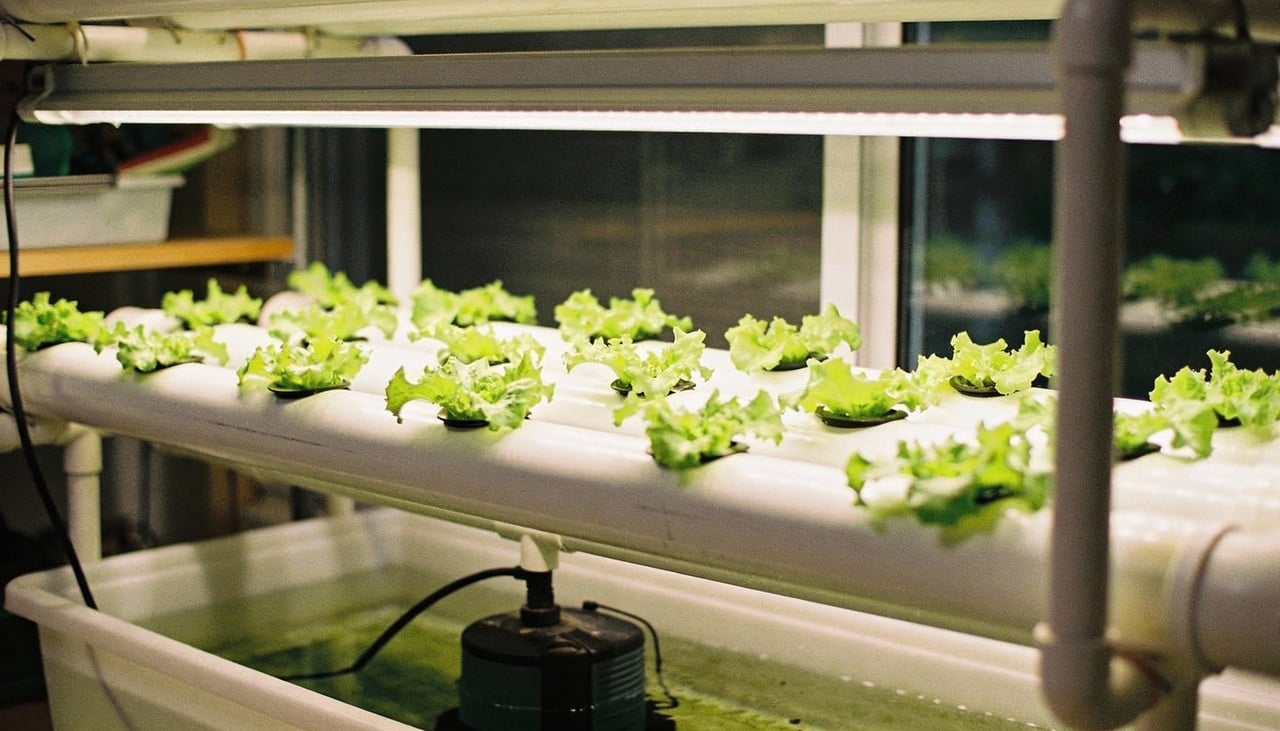 O processo de montagem exige atenção redobrada aos detalhes técnicos da circulação da água e da oxigenação eficiente das raízes das plantas