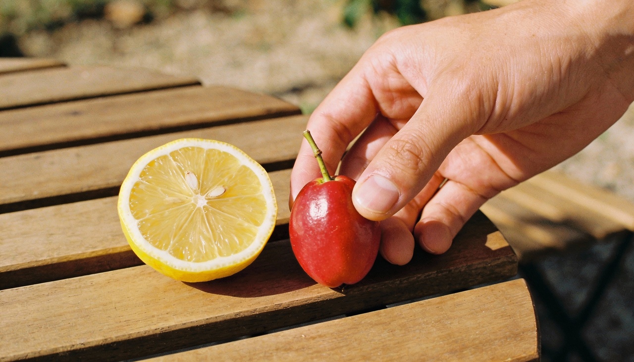 Aqui vai uma dica valiosa que muitos jardineiros iniciantes não sabem: a fruta-milagrosa é bem exigente com o tipo de terra