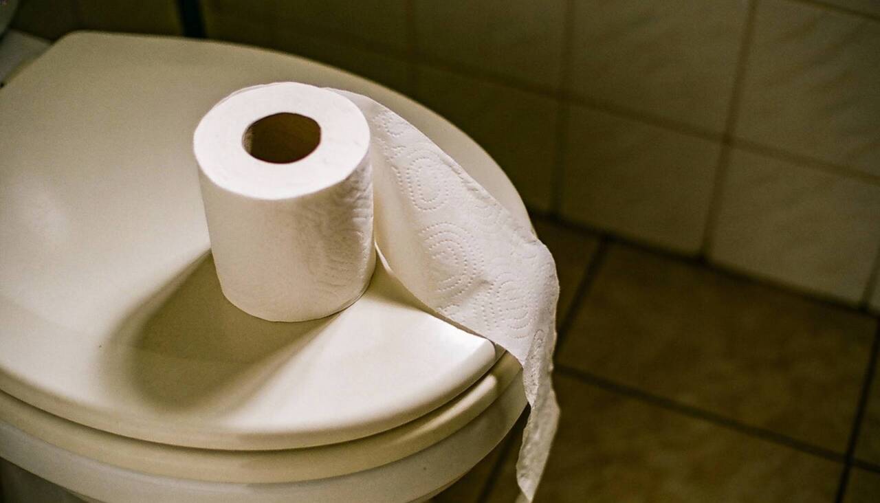 Papéis mais espessos e resistentes comercializados como premium, como versões de folha dupla ou tripla anunciadas como mais macias e absorventes