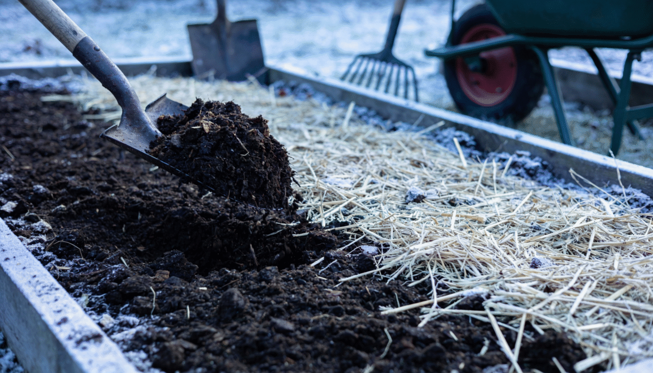 Janeiro não é o mês com maior diversidade de sementeiras, mas permite estabelecer culturas estratégicas