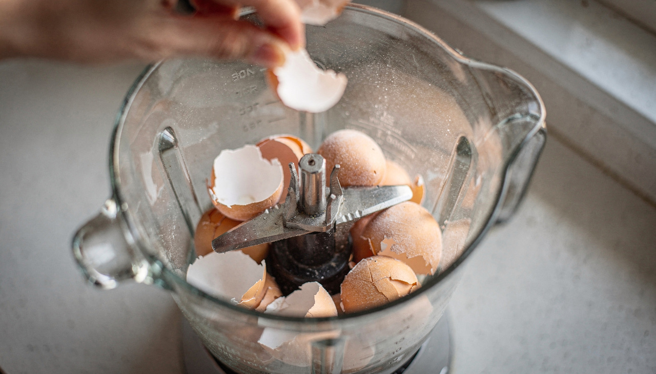A chamada “técnica da casca de ovo” consiste em utilizar cascas bem limpas e congeladas para tentar recuperar o fio das lâminas