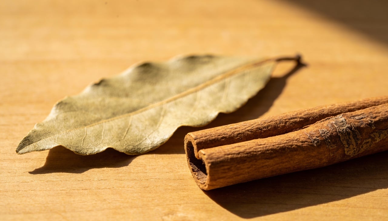 O uso esotérico dessa planta remonta aos tempos da Grécia Antiga, onde as coroas de louro simbolizavam triunfo e reconhecimento máximo dos heróis