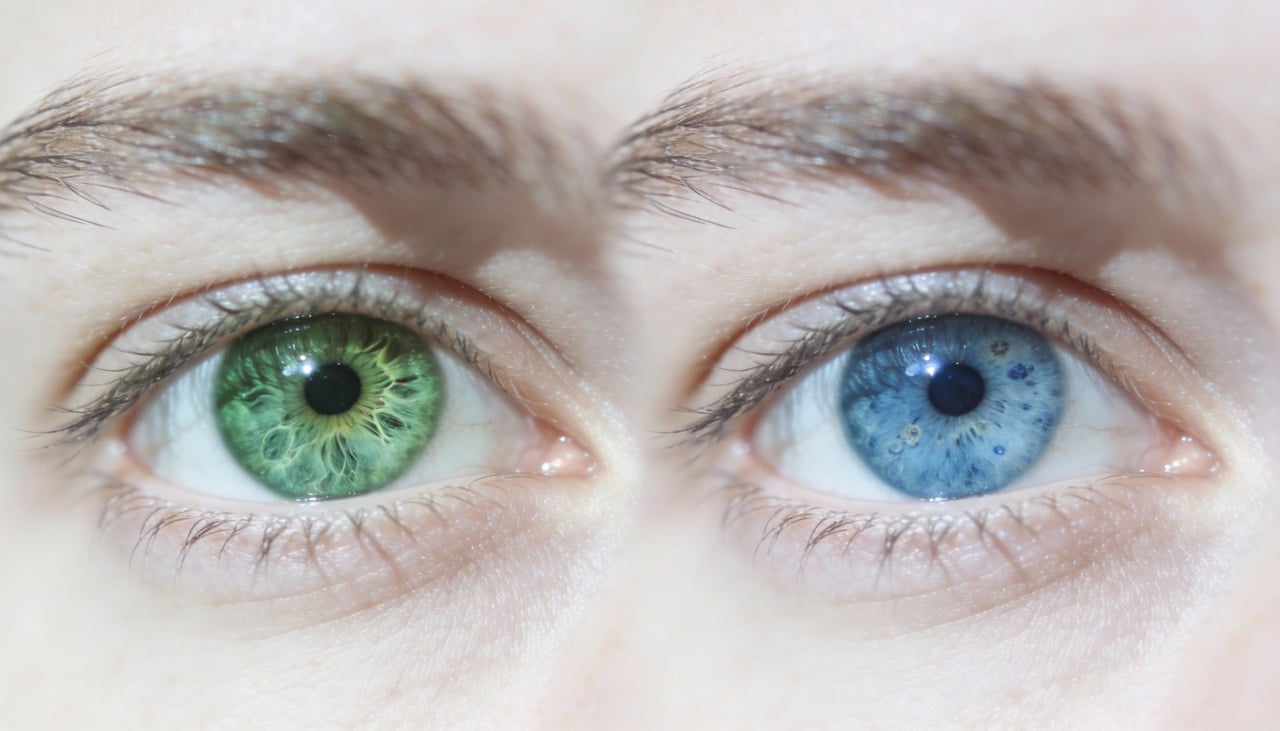 Estudos sugerem que certas tonalidades oculares se relacionam com padrões de processamento cerebral distintos