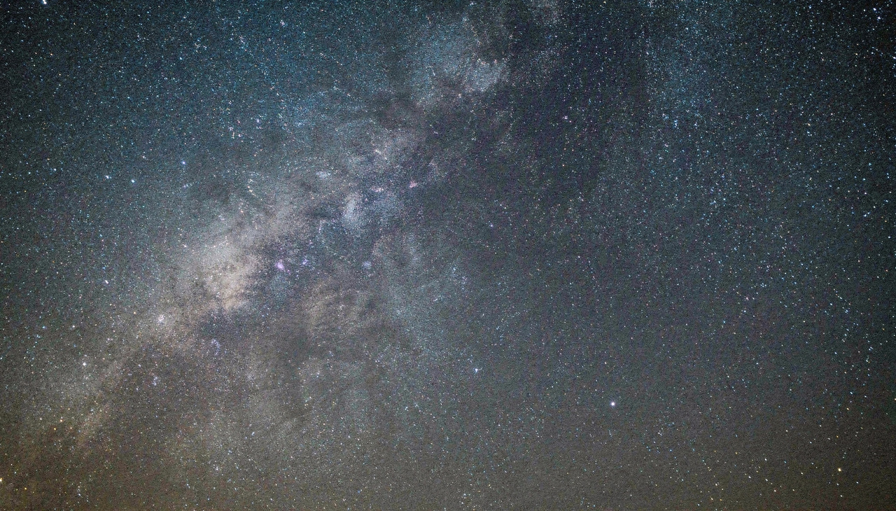 Essa diferença colossal demonstra que a Terra é um ambiente extremamente denso e biologicamente rico