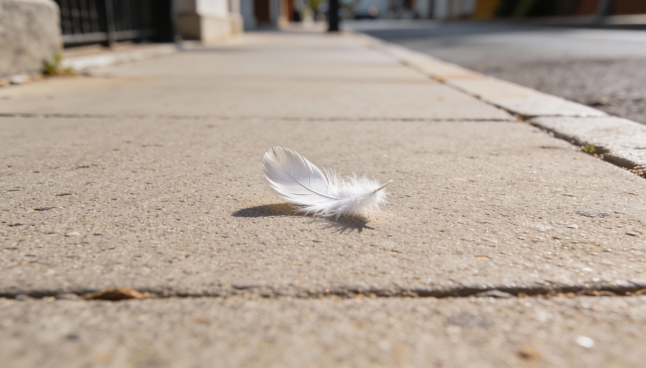 O universo utiliza elementos da natureza para estabelecer uma comunicação direta e reconfortante com os seres humanos em momentos de dúvida ou cansaço