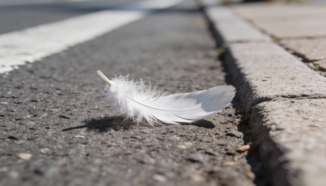 O universo utiliza elementos da natureza para estabelecer uma comunicação direta e reconfortante com os seres humanos em momentos de dúvida ou cansaço