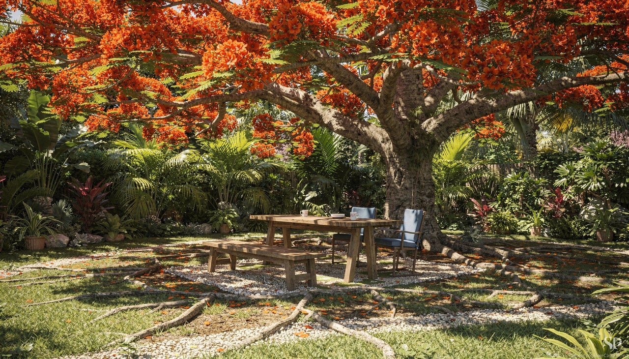 Para entender a magnitude dessa planta, precisamos observar o formato único de sua copa em guarda-sol