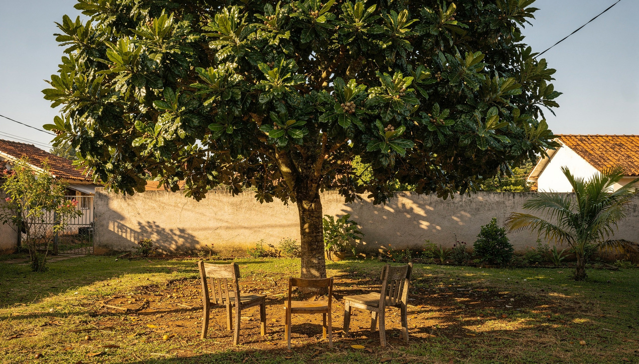 Imagine poder sentar debaixo de uma sombra fresca enquanto as crianças brincam protegidas do sol forte