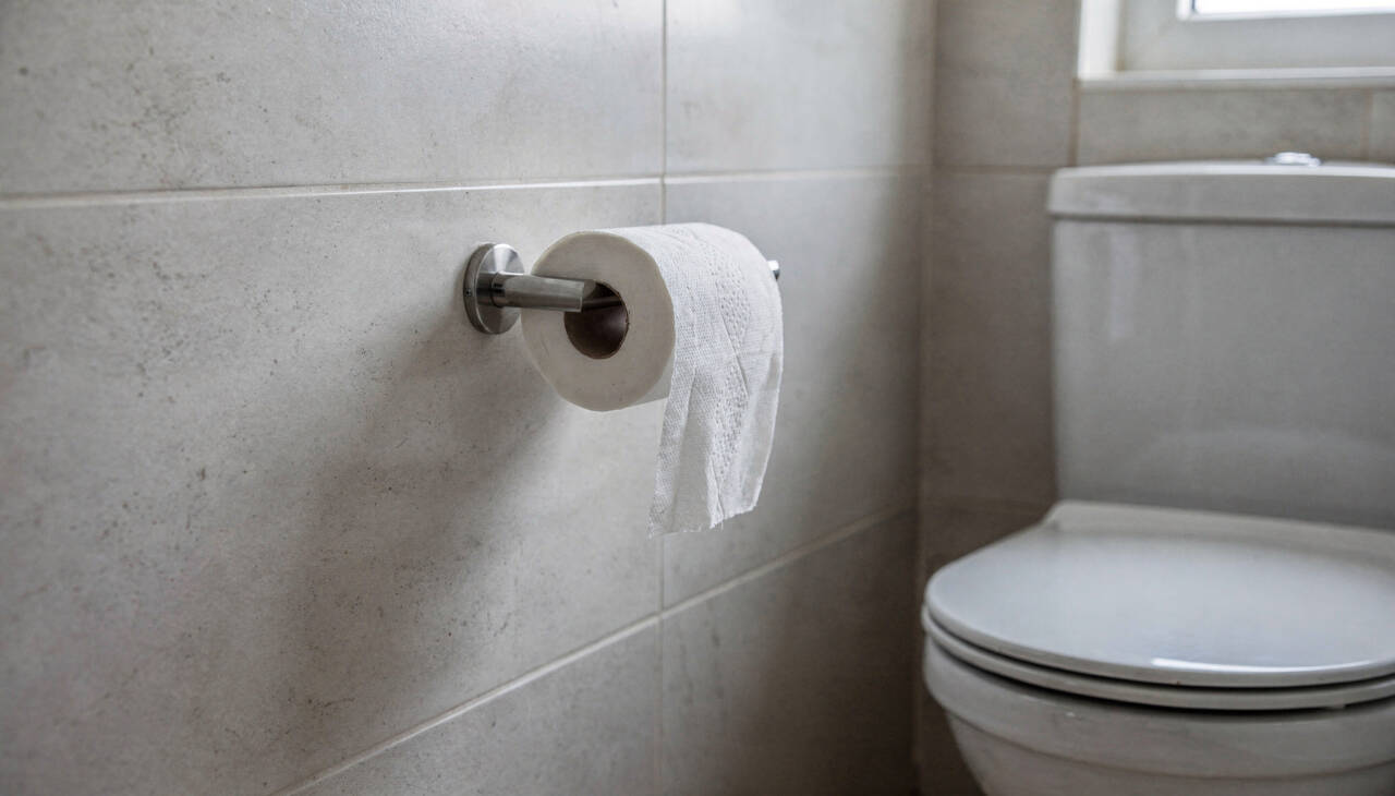 Se você pendurar papel higiênico assim, os resultados são assustadores: ele ficará cheio de germes. Por que "esta direção" é a direção certa