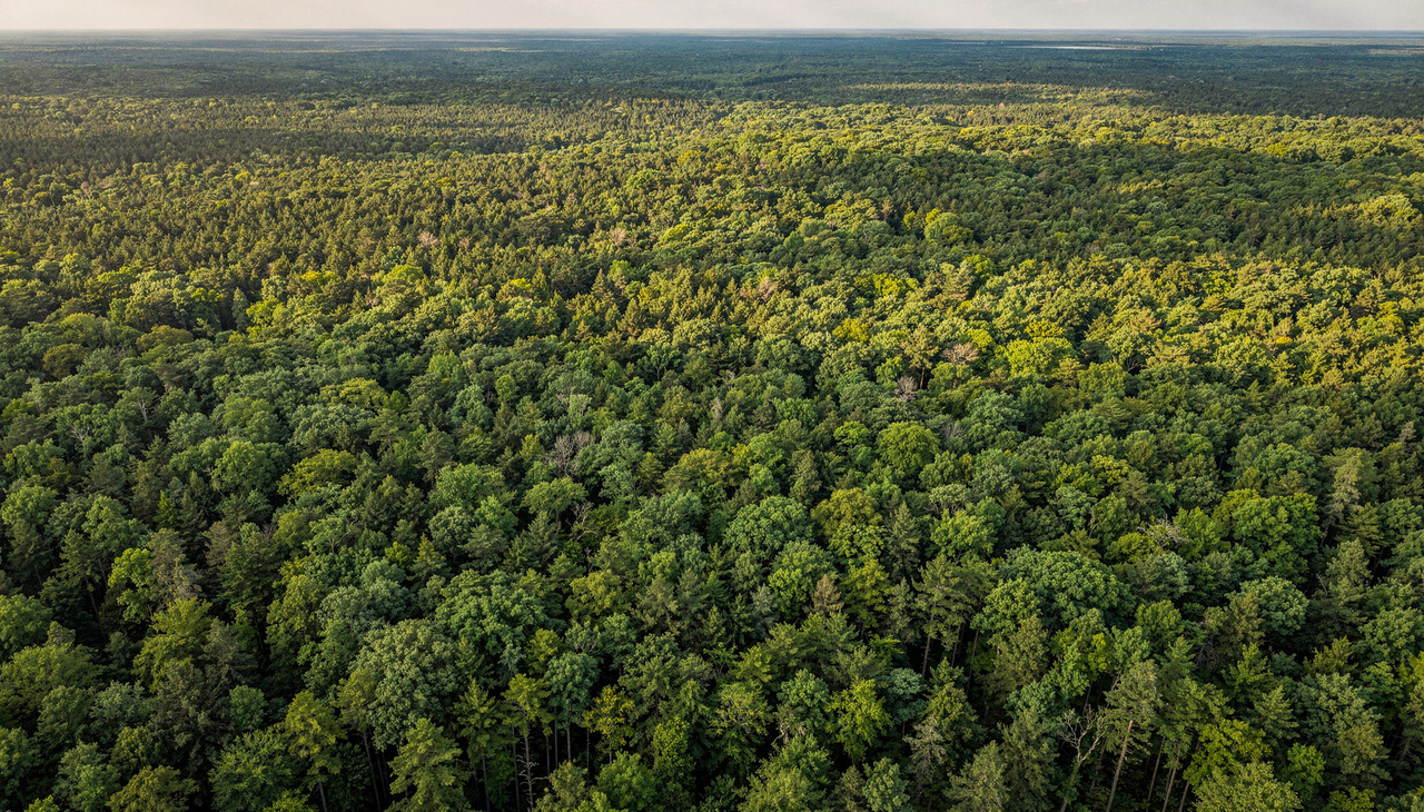 Essa diferença colossal demonstra que a Terra é um ambiente extremamente denso e biologicamente rico