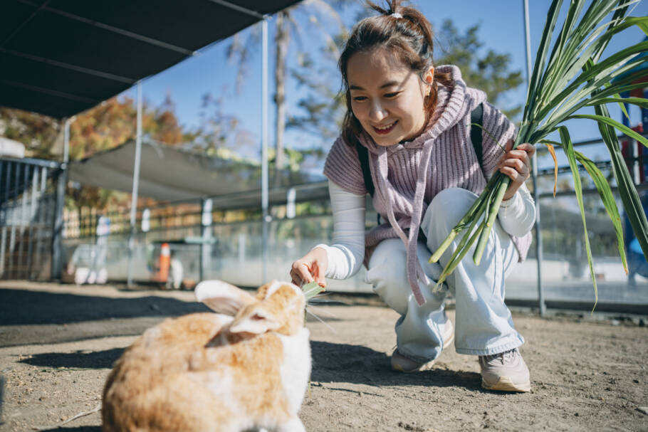 Fazer o que se ama e com propósito é um dos pilares do Ikigai