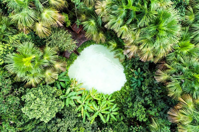 Nos fervedouros, a forte pressão da nascente subterrânea impede que os banhistas afundem na água