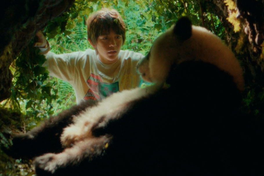 Em “O Menino e o Panda”, um garoto enviado para viver com a avó no interior da China cria um vínculo inesperado com um filhote de panda (Imagem: Reprodução digital | A2 Filmes)