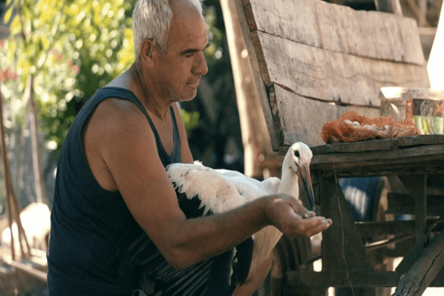 “O Conto de Silyan” retrata uma relação inesperada entre um agricultor solitário e uma cegonha ferida, explorando humanidade, resiliência e natureza (Imagem: Reprodução digital | National Geographic Documentary Films)