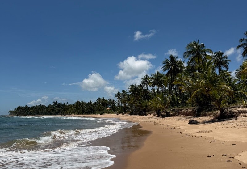 Sem multidões, a Península do Maraú reforça vocação para turismo de natureza