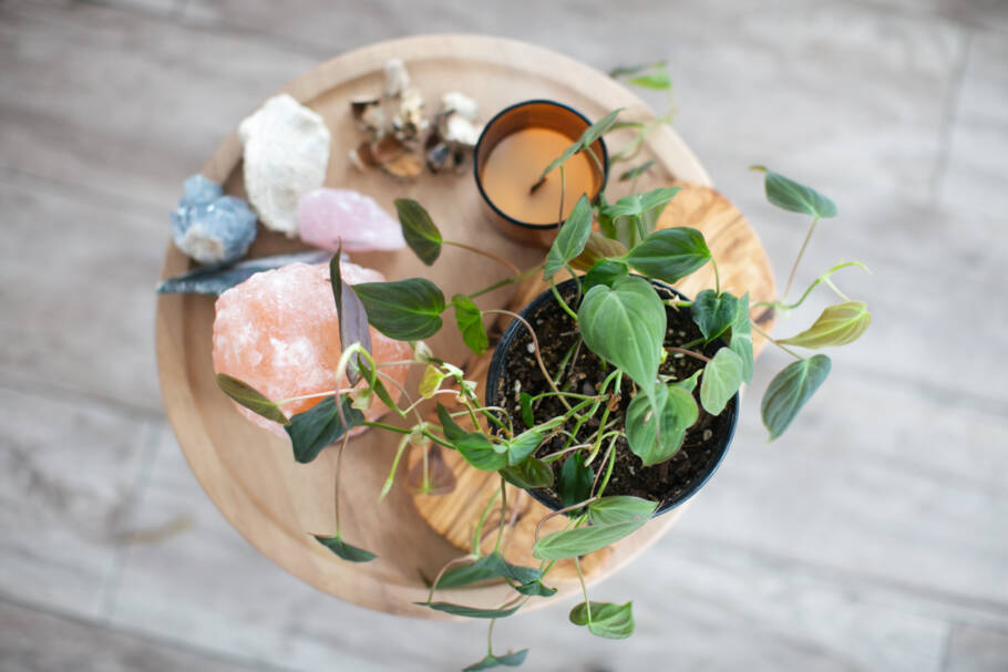 Segundo o Feng Shui, as plantas têm o poder de ativar a energia vital dos ambientes