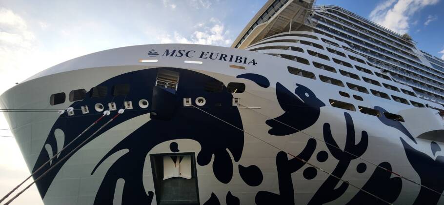 MSC Euribia atracado no porto de Abu Dhabi