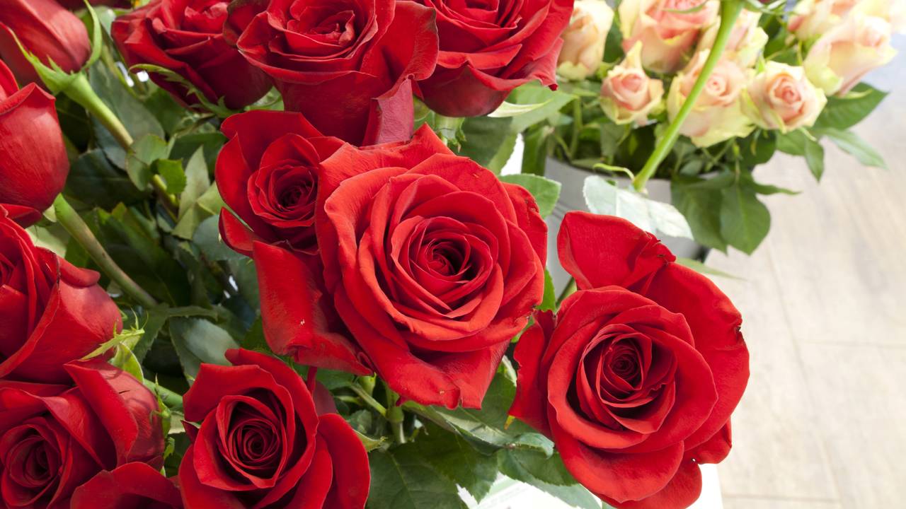 Quanto custa o buquê dos sonhos"? Abrimos os preços das floriculturas