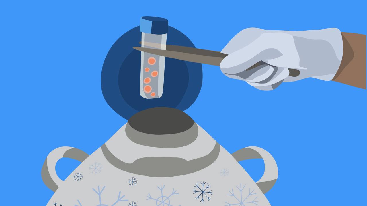 Saiba quanto custa o congelamento de óvulos em 2026. Confira os valores de clínicas, medicamentos e taxas anuais de armazenamento para seu planejamento.