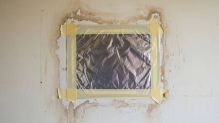 Manchas e cheiro de mofo indicam excesso de umidade nas paredes