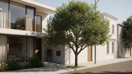 Árvores urbanas precisam de raízes profundas para não levantar o piso