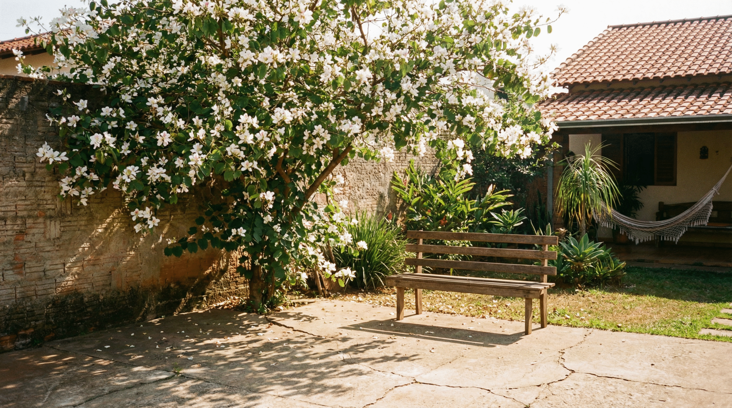 O planejamento de um novo layout para a área externa começa pela identificação dos pontos que precisam de mais privacidade ou sombra ao longo do dia