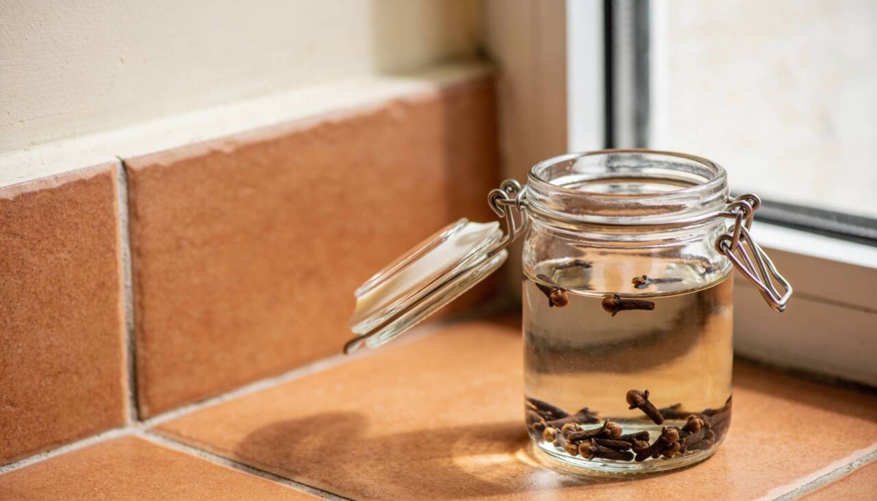 Essa receita com cravo é queridinha de quem cuida da casa de forma natural