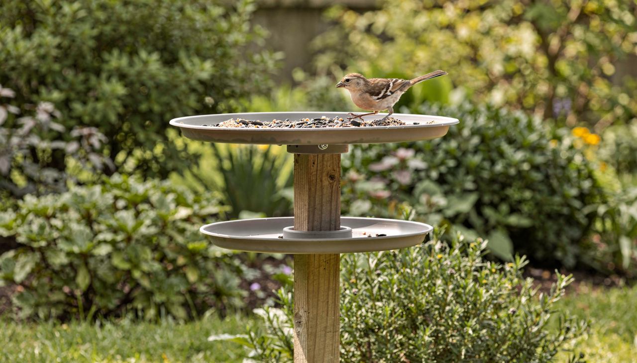 O mecanismo desse truque se baseia na criação de um obstáculo intransponível