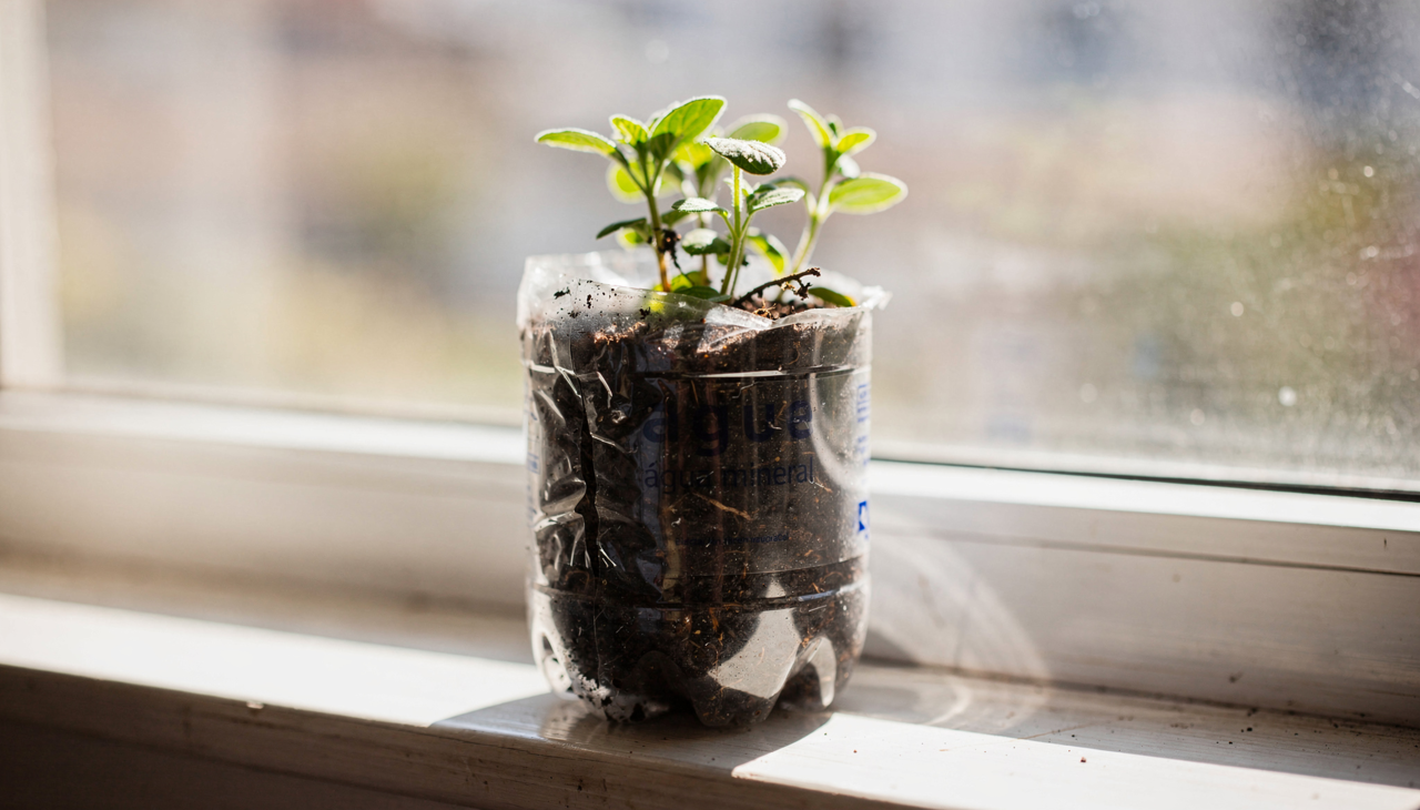 Diversos objetos que descartamos rotineiramente podem ser transformados em soluções práticas