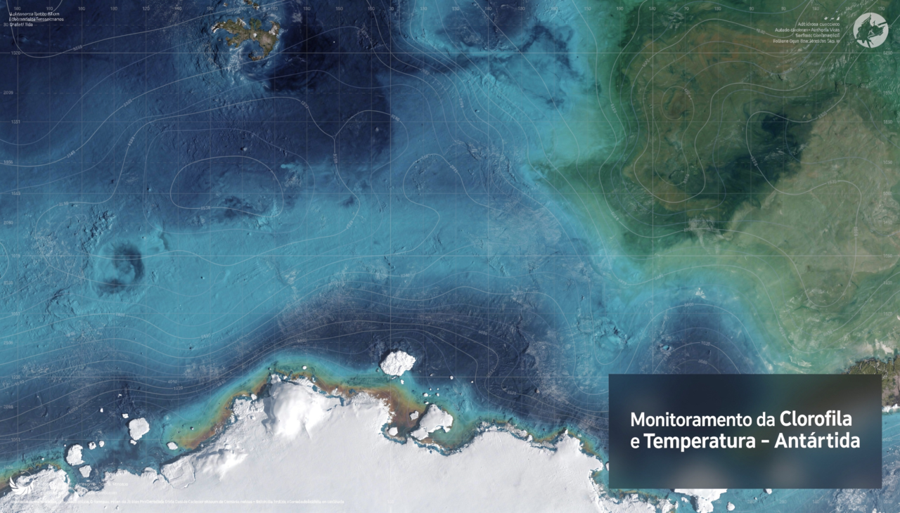 A terrível verdade sobre o degelo da Antártida: o mundo trocou o ar puro por uma "dieta de fome" para o plâncton que deveria limpar a atmosfera e impedir o colapso final