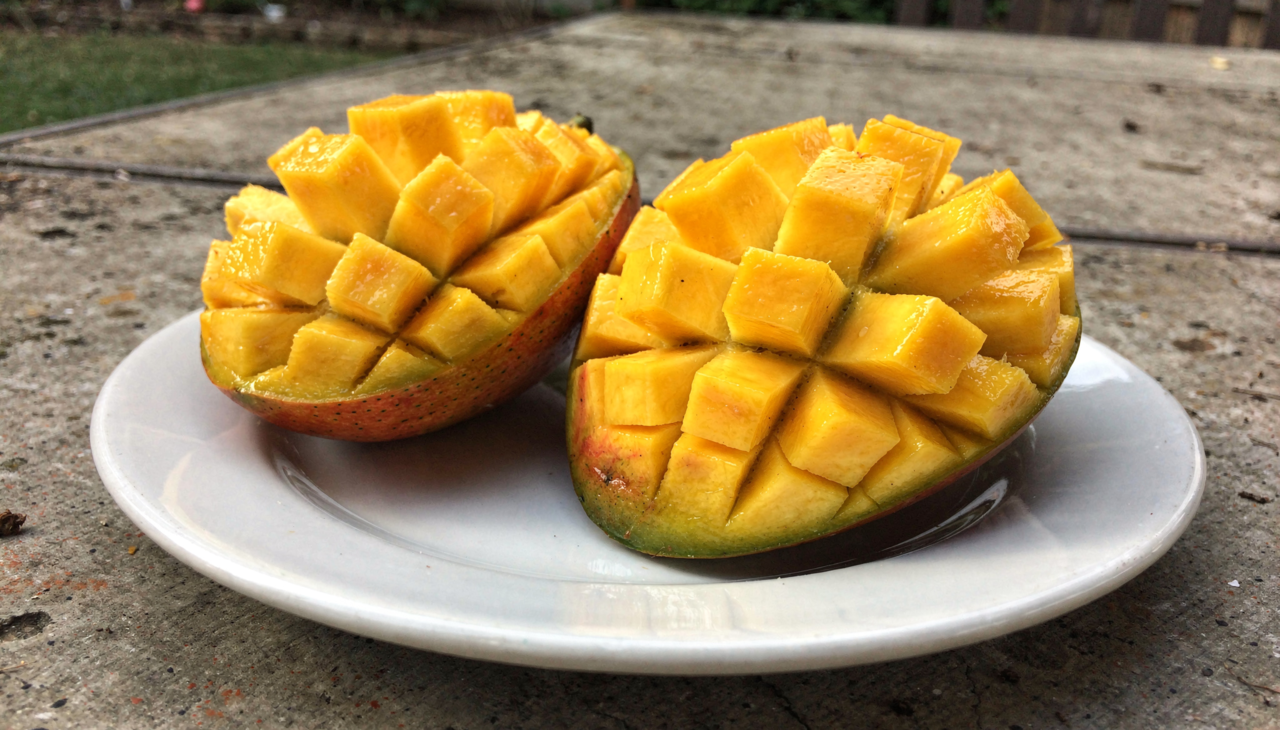 A Mangifera indica, nome científico dessa espécie tropical, destaca-se como uma fonte poderosa de hidratação e vitalidade