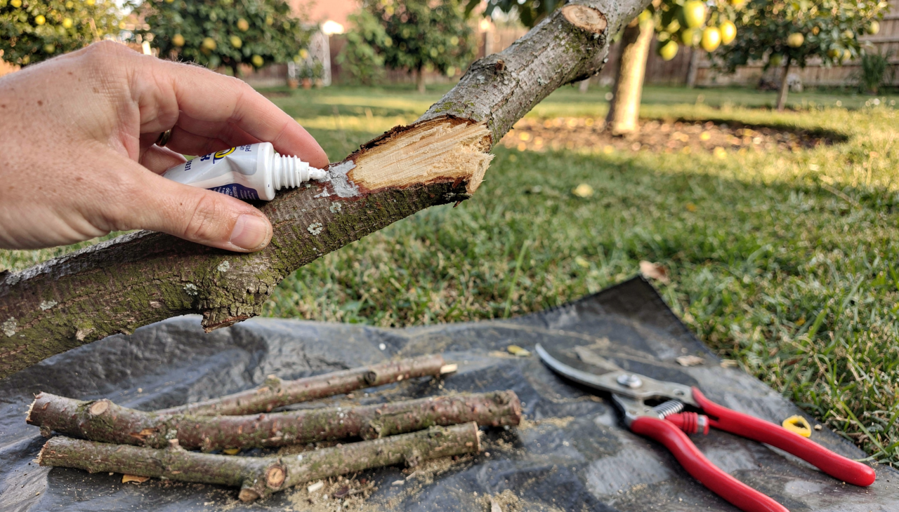 O planejamento antecipado é o segredo para quem deseja um resultado profissional