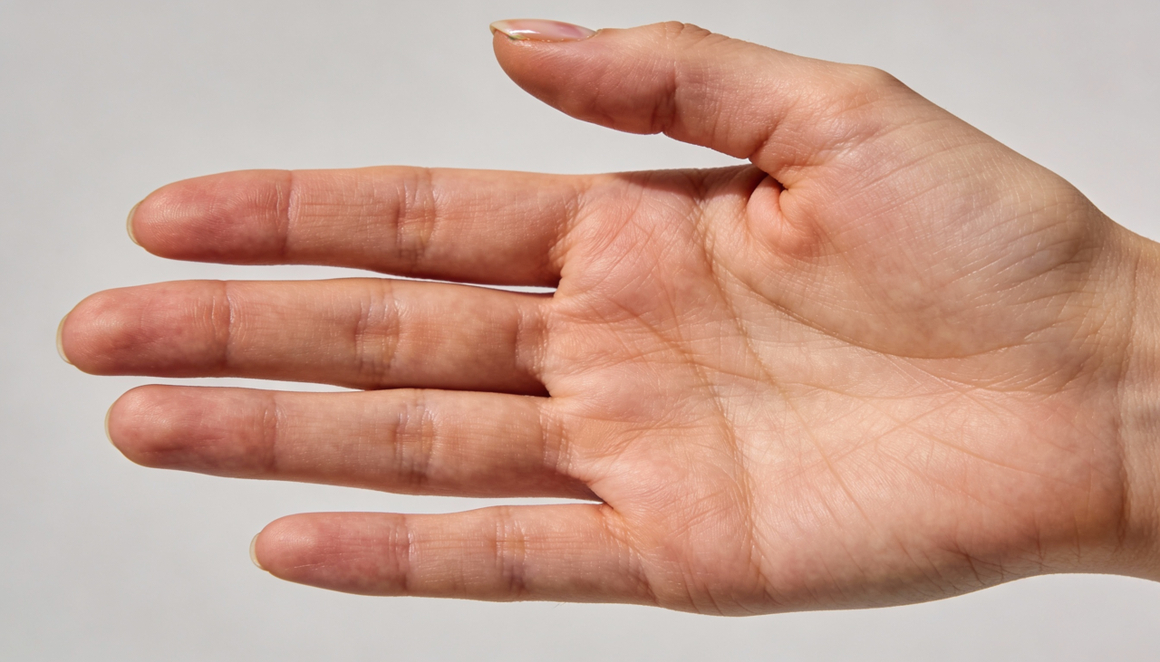 o equilíbrio exato entre a largura da palma e o comprimento dos dedos define a categoria do elemento predominante