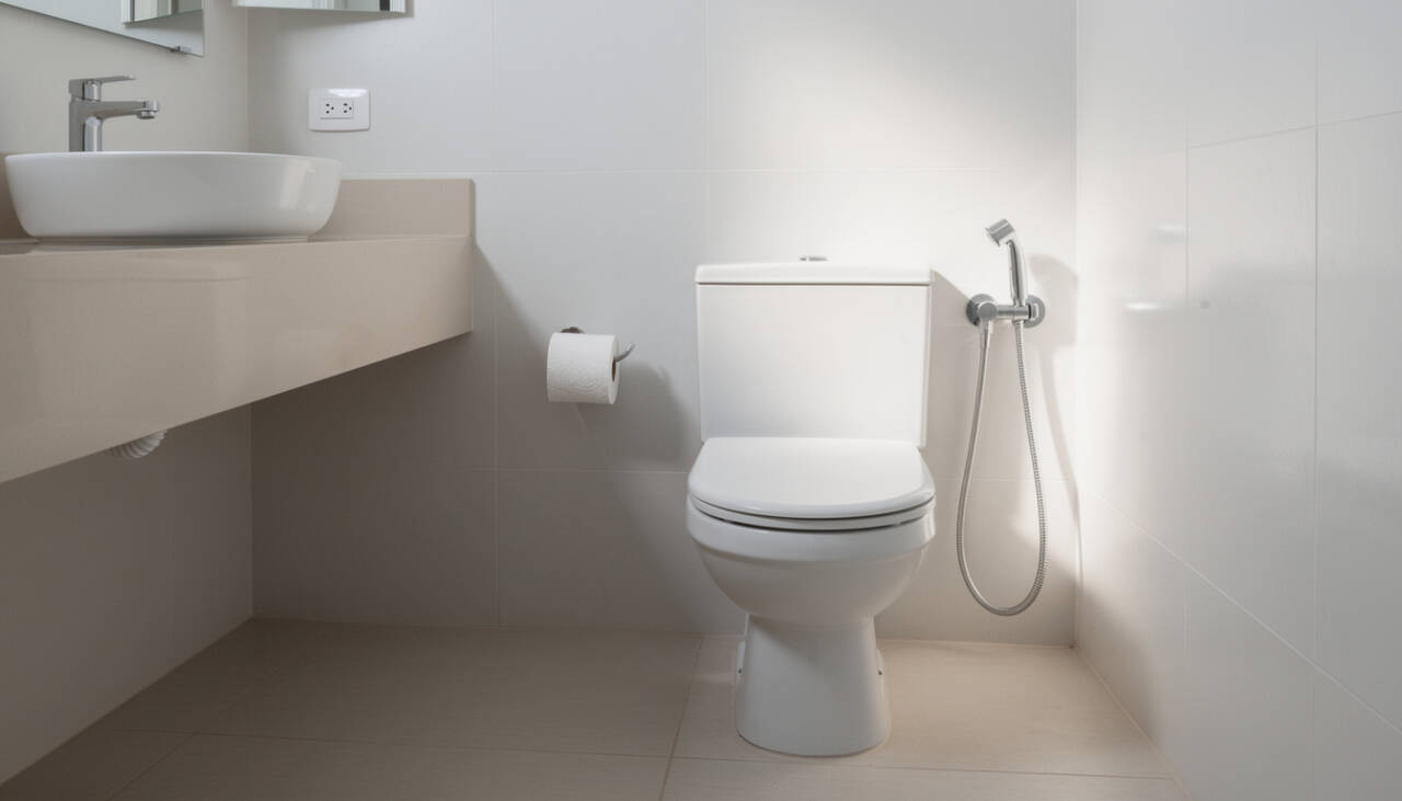 Papel higiênico está sendo trocado por água e toalhas em banheiros mais sustentáveis