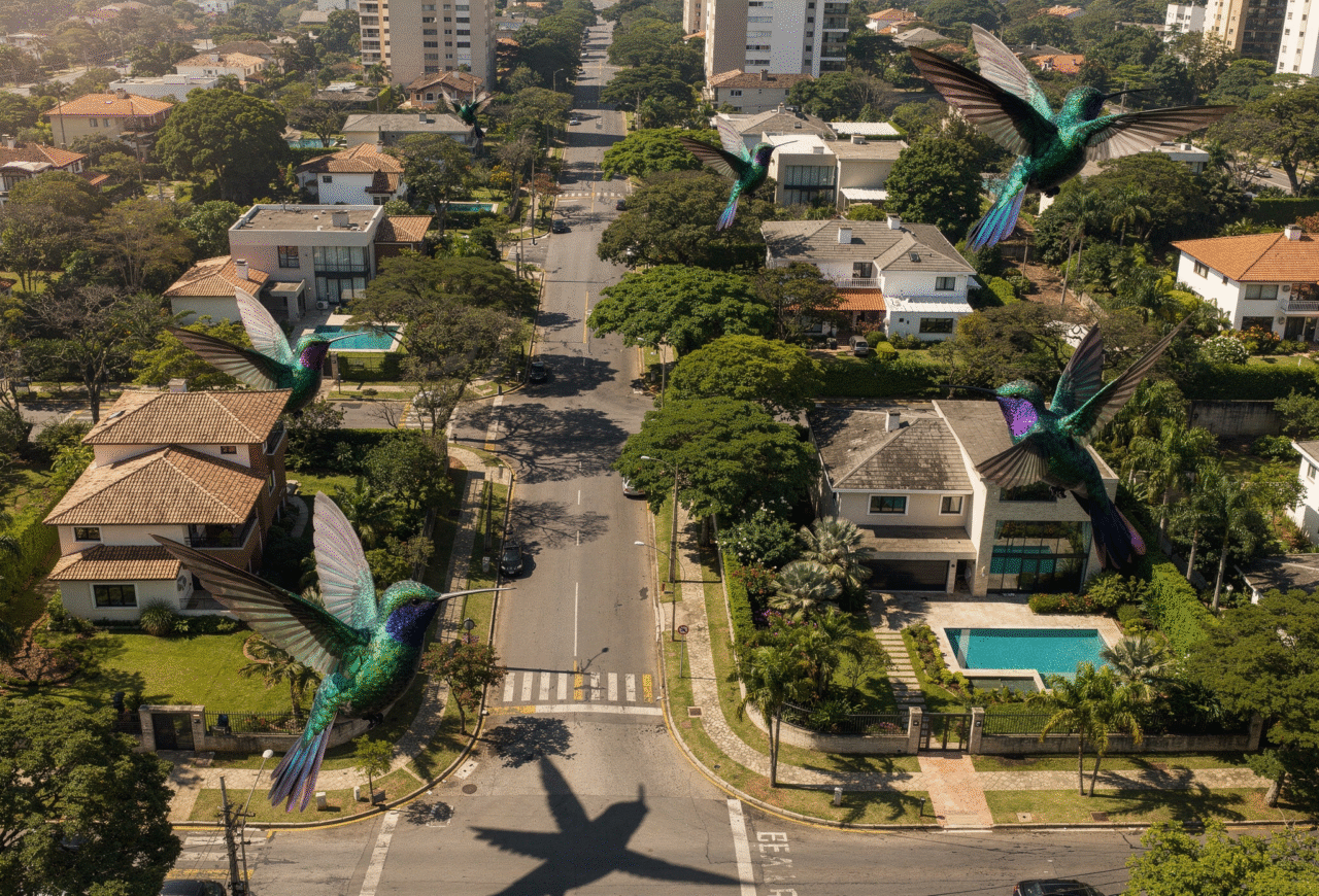 A decisão de nomear as ruas com nomes de aves não foi aleatória