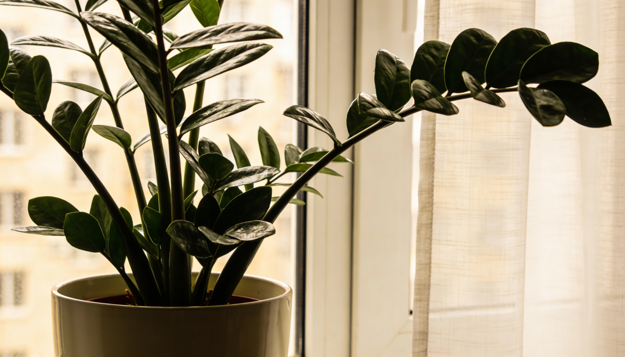 Ambientes urbanos costumam concentrar calor ao longo do dia
