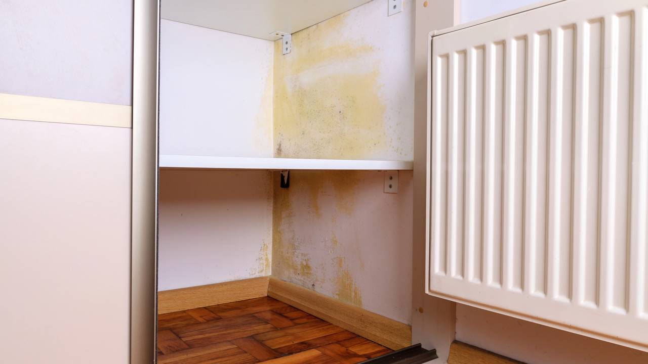 Evite mofo nas gavetas sem usar produtos químicos perigosos! Descubra como o sal grosso e o carvão ativado protegem o seu armário hoje.