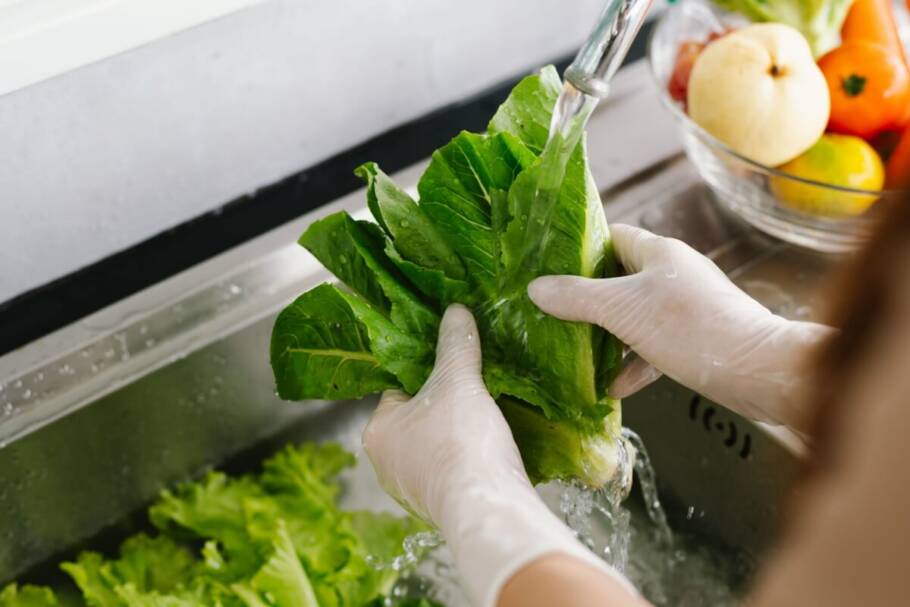 Antes de serem consumidos, frutas, verduras e legumes devem ser bem higienizados para reduzir o risco de intoxicações alimentares (Imagem: Tualek Photographer | Shutterstock)