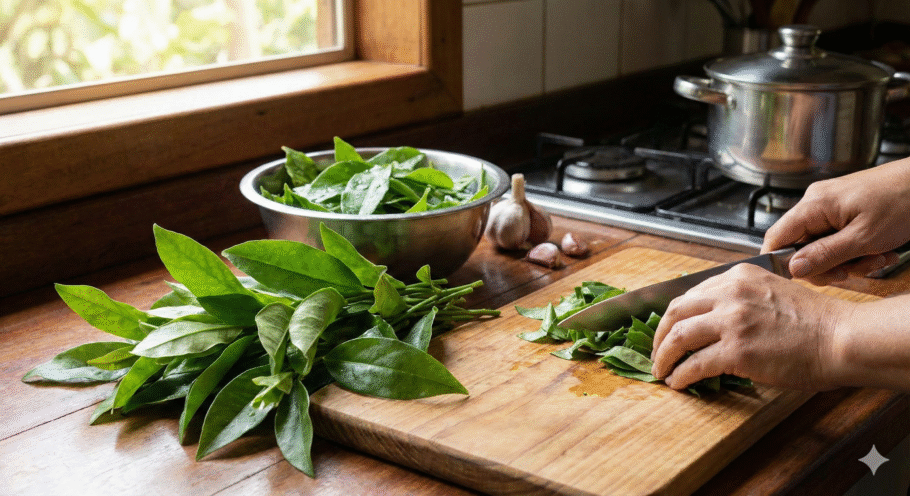 Tido por muitos como mato, o oro-pro-nóbis é um verdadeiro tesouro