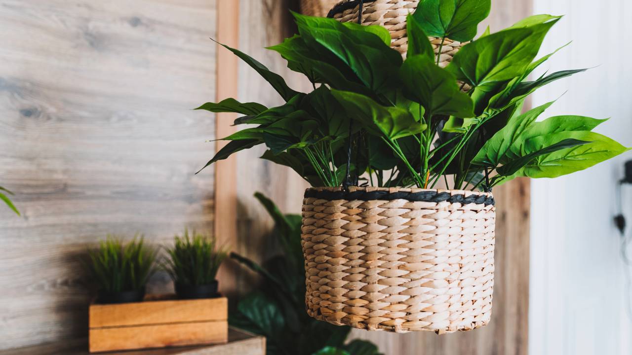 Crie um jardim interno espetacular sem depender de luz solar. Veja preços e modelos de plantas permanentes realistas para transformar seu escritório ou apartamento.