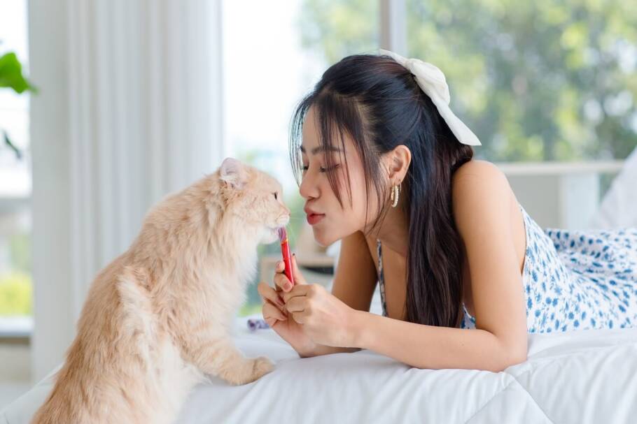 O petisco deve respeitar as restrições alimentares e de saúde do animal (Imagem: Bangkok Click Studio | Shutterstock)