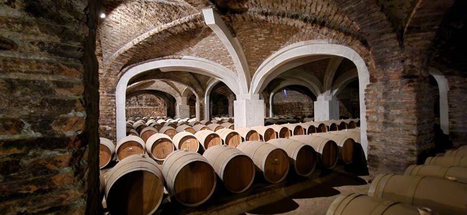 Cave da Viña Santa Rita