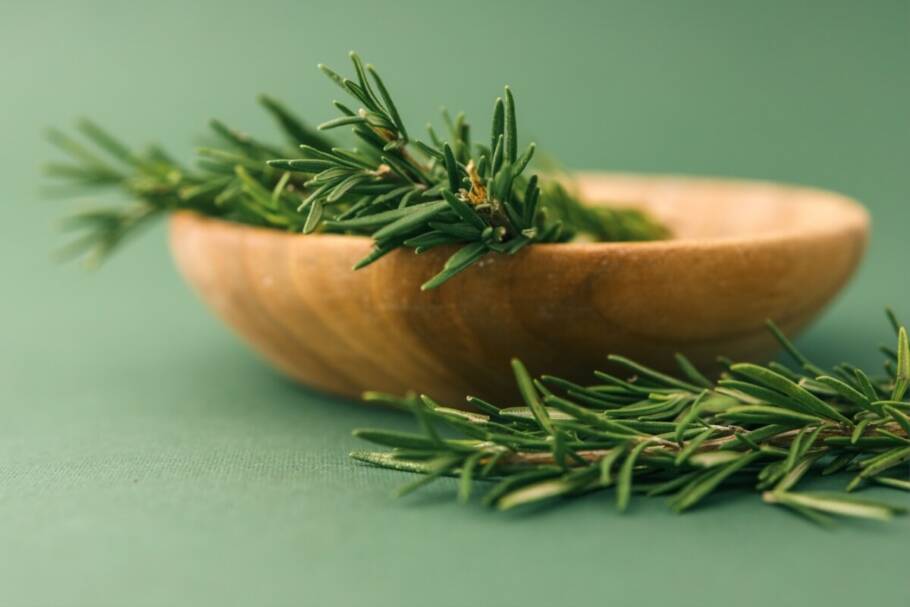 O banho de alecrim ajuda a renovar a energia e a fortalecer a confiança (Imagem: shine.graphics | Shutterstock)