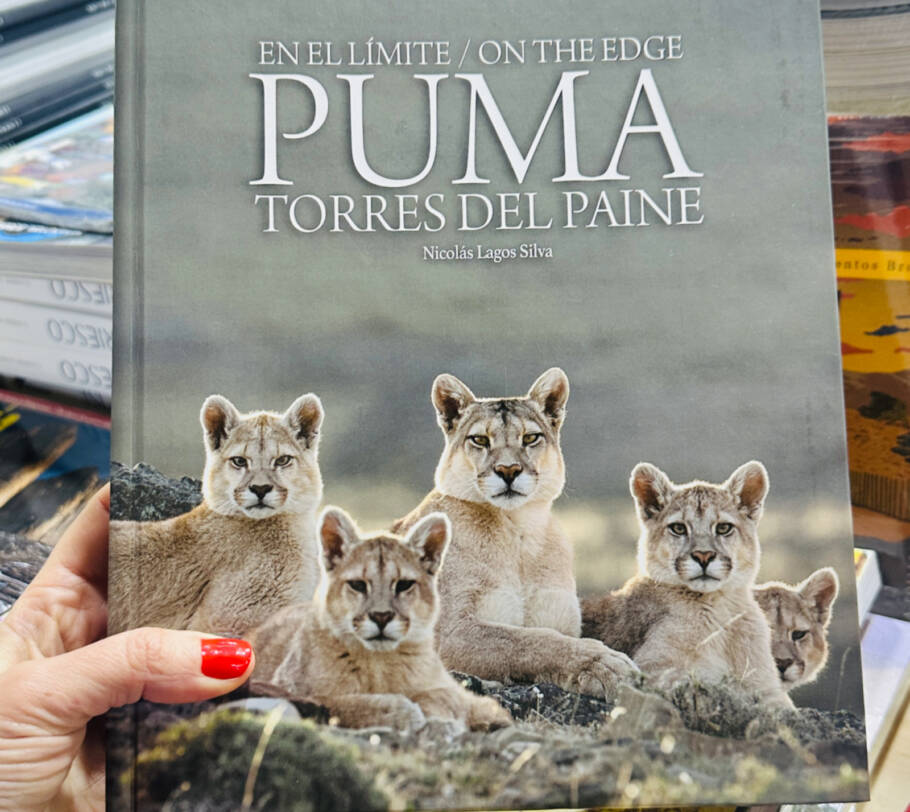 Quem ama animais vai adorar o livro “Puma”, do fotógrafo Nicolás Lago Silva