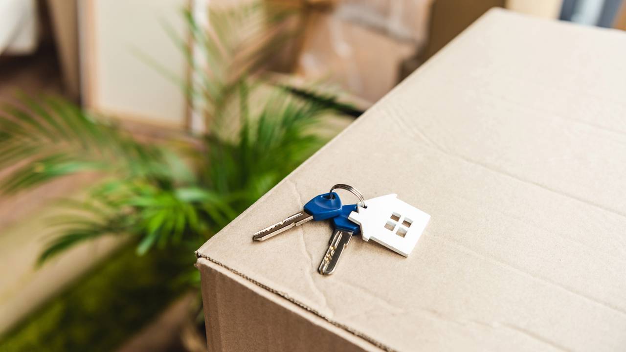 Seu sonho da casa própria pode ser muito mais seguro com o planejamento correto. Saiba por que a entrada alta é o segredo para o luxo de parcelas decrescentes.